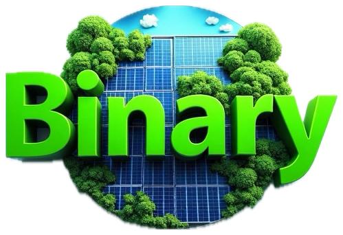 BINARY S.R.L.